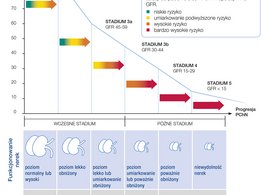 5 Stadiów PChN i związane z nimi objawy