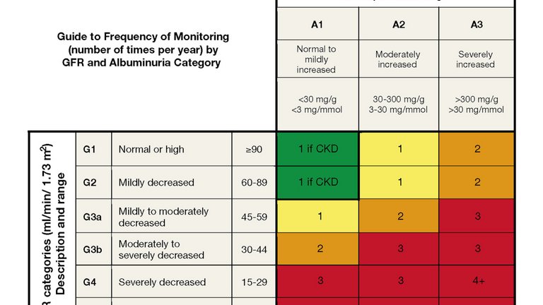 [Translate to Poland - Polish:] GFR and albuminuria grid to reflect the risk of progression by intensity of coloring