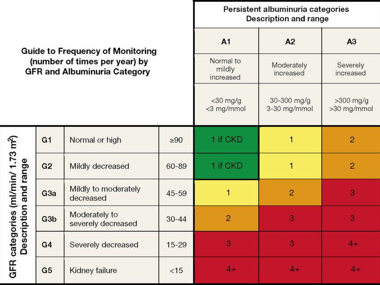 [Translate to Poland - Polish:] GFR and albuminuria grid to reflect the risk of progression by intensity of coloring